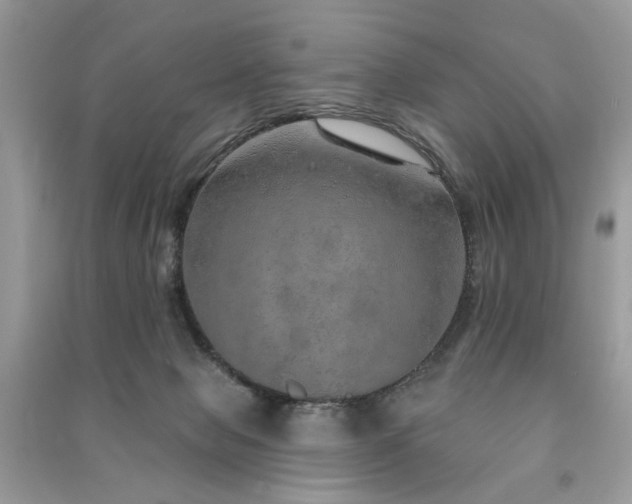 X0000091370077200708101541