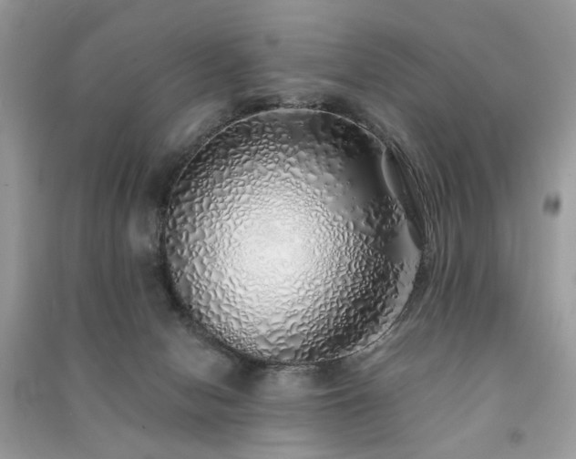 X0000091370078200708101541