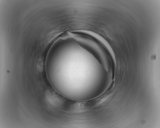 X0000091370080200708101541