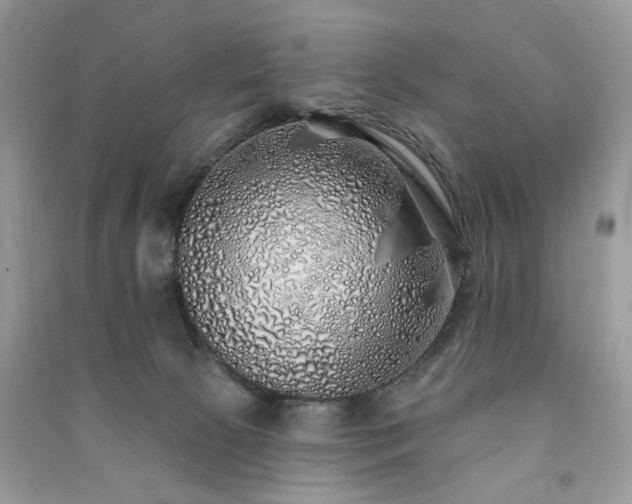 X0000091370081200708101541