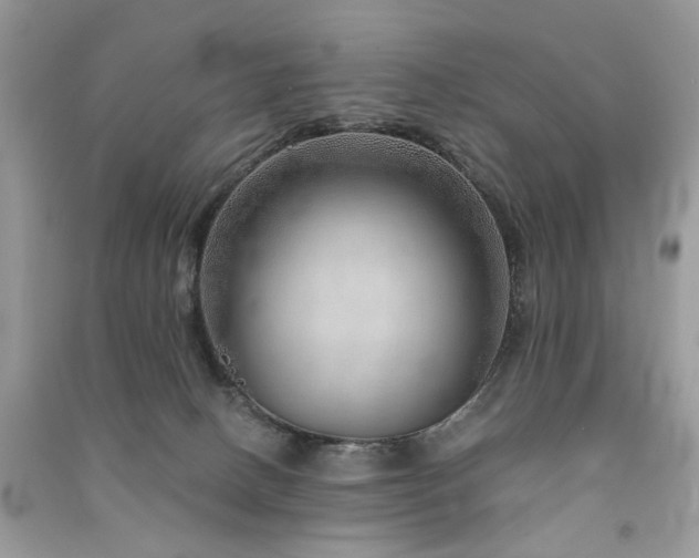 X0000091370082200708101541