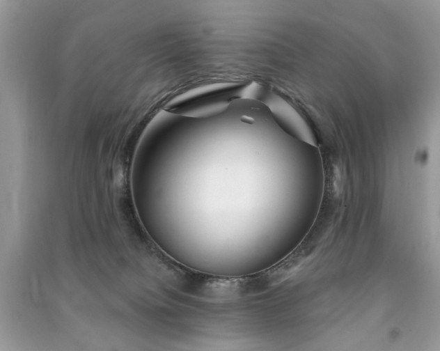 X0000091370084200708101541