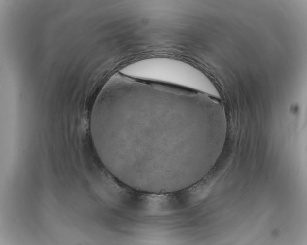 X0000091370085200708101541