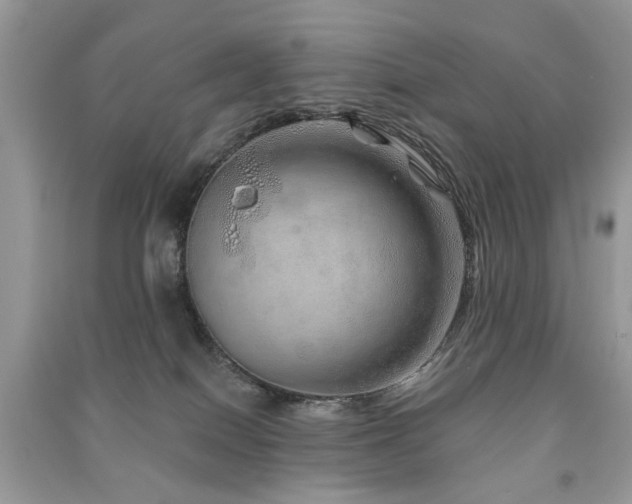 X0000091370086200708101541