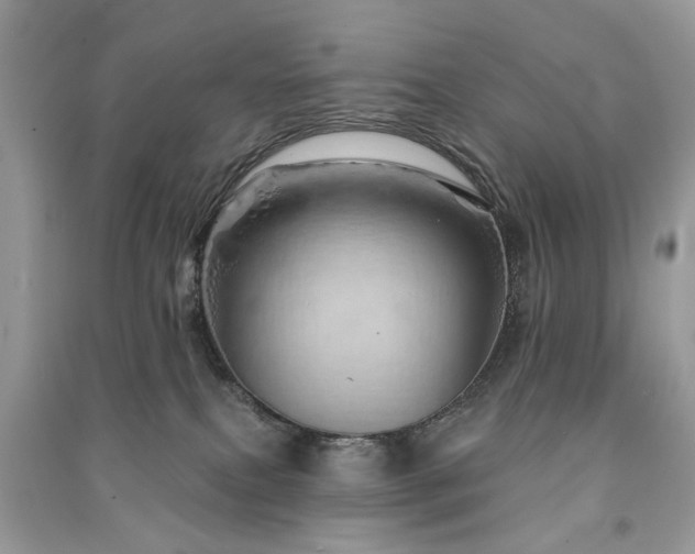 X0000091370087200708101541