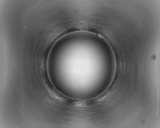 X0000091370088200708101541