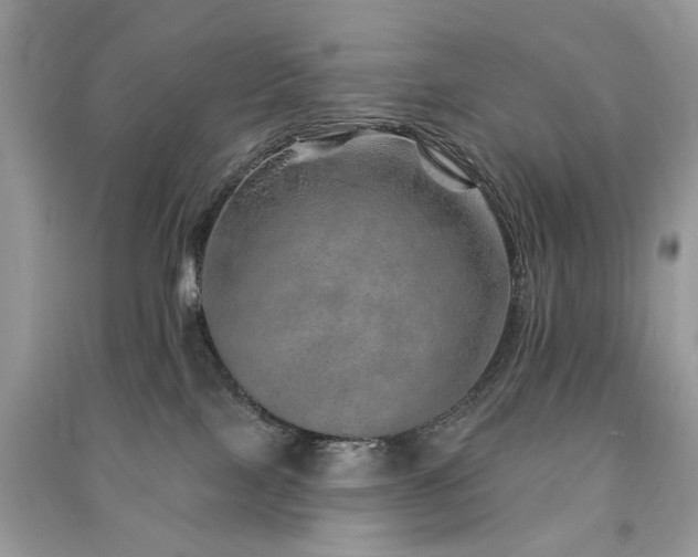 X0000091370089200708101541