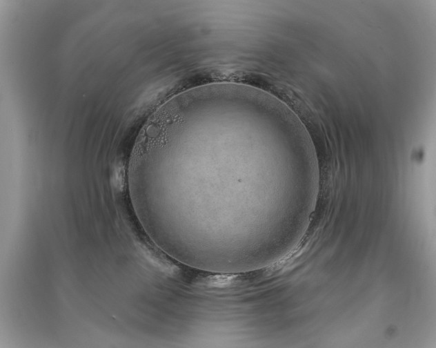 X0000091370090200708101541