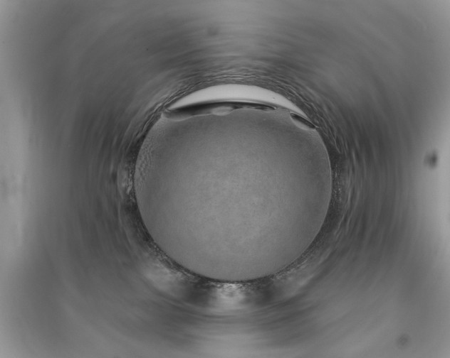 X0000091370091200708101541