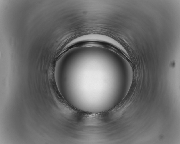 X0000091370092200708101541