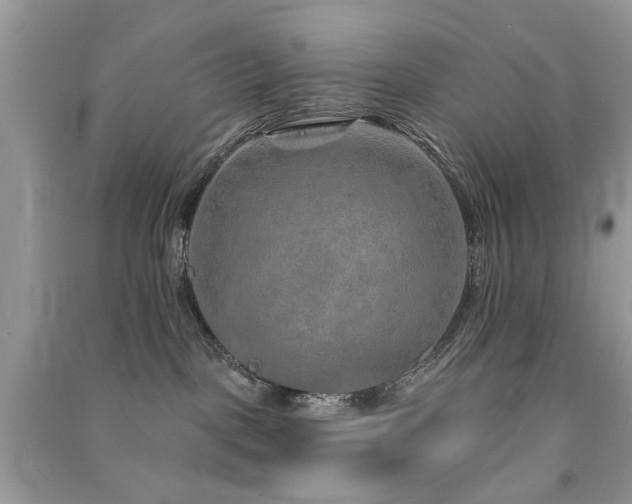 X0000091370093200708101541