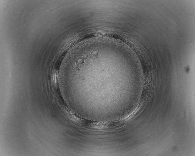 X0000091370094200708101541