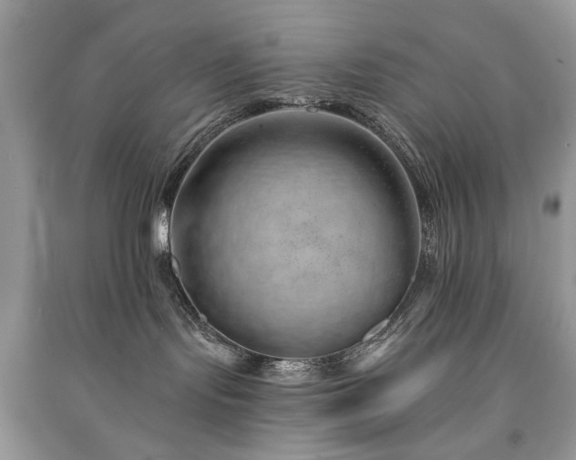 X0000091370095200708101541