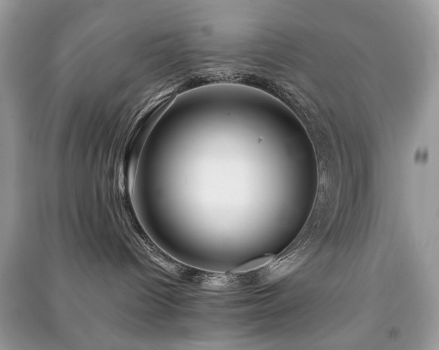 X0000091370096200708101541