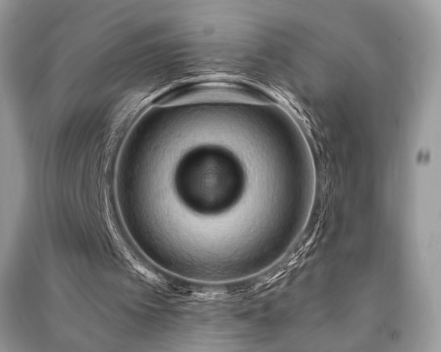 X0000091370097200708101540