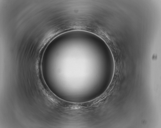 X0000091370098200708101540