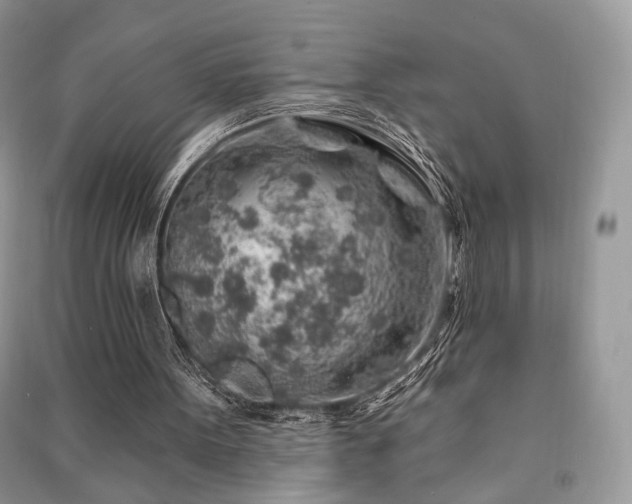 X0000091370099200708101540