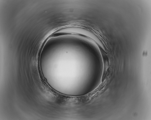 X0000091370100200708101540