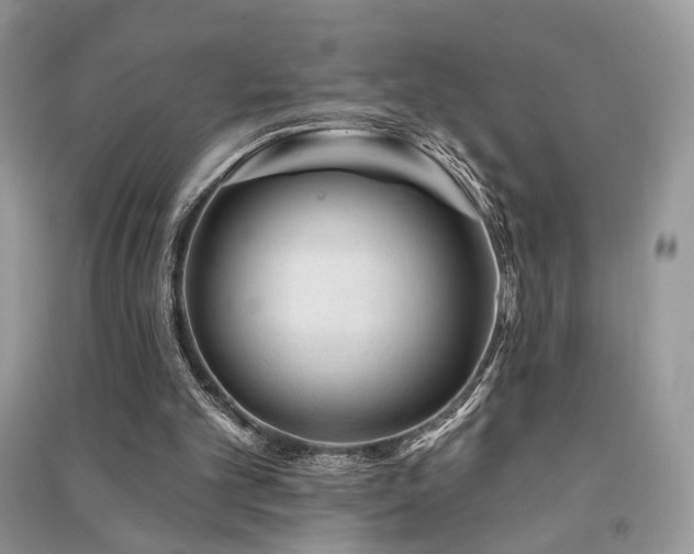 X0000091370101200708101540