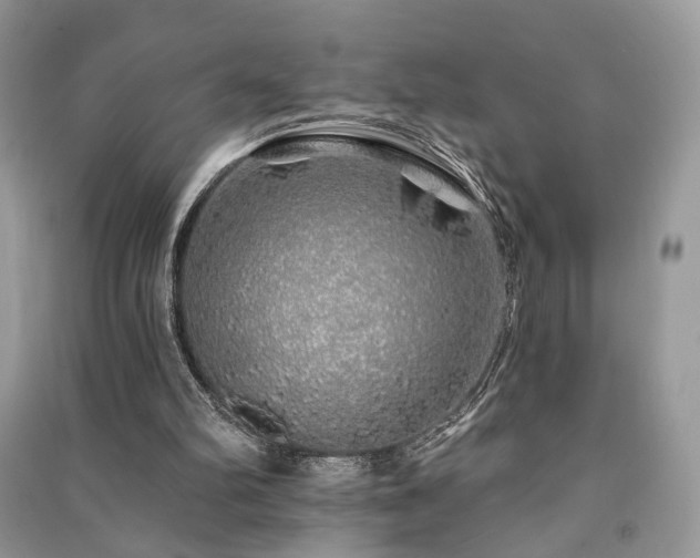 X0000091370102200708101540