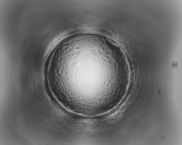 X0000091370103200708101540