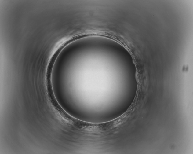 X0000091370104200708101540