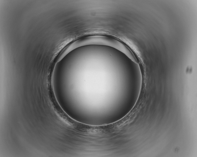 X0000091370105200708101540