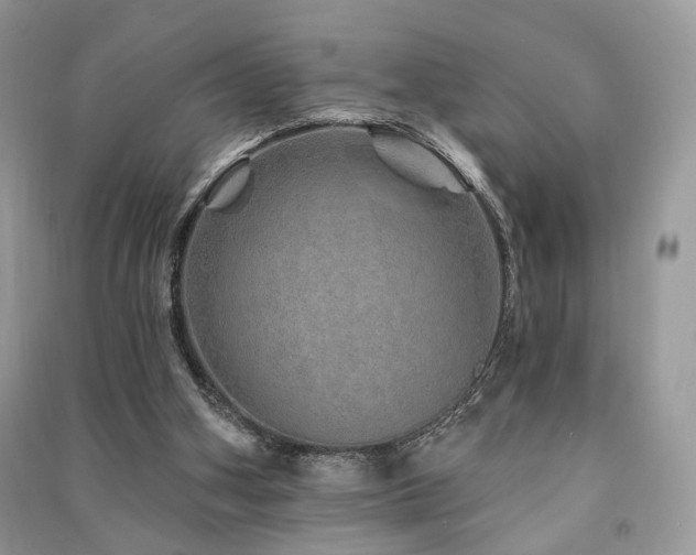 X0000091370106200708101540