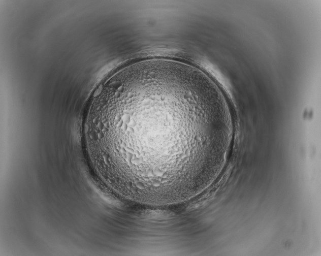 X0000091370107200708101540