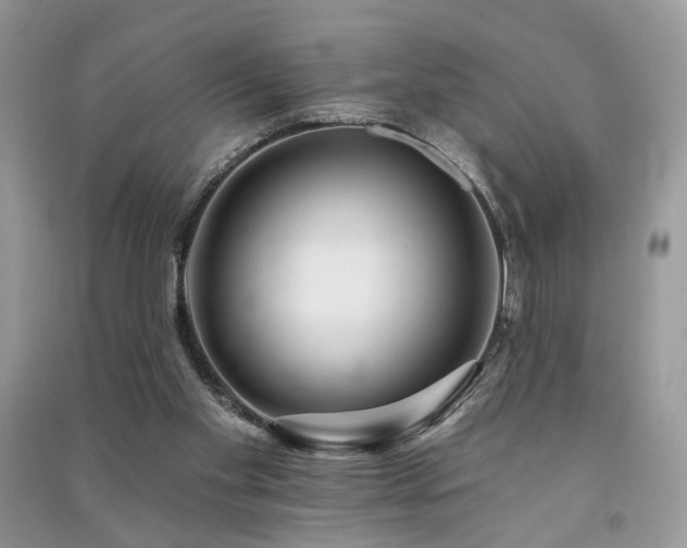 X0000091370109200708101540