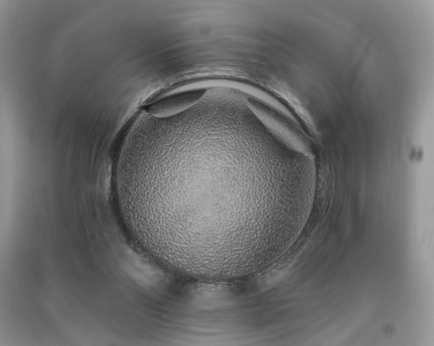 X0000091370110200708101540