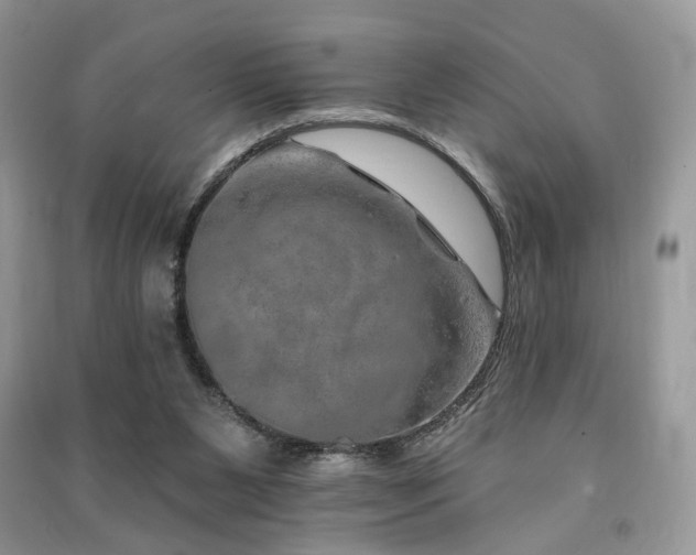 X0000091370111200708101540