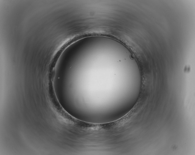 X0000091370112200708101540