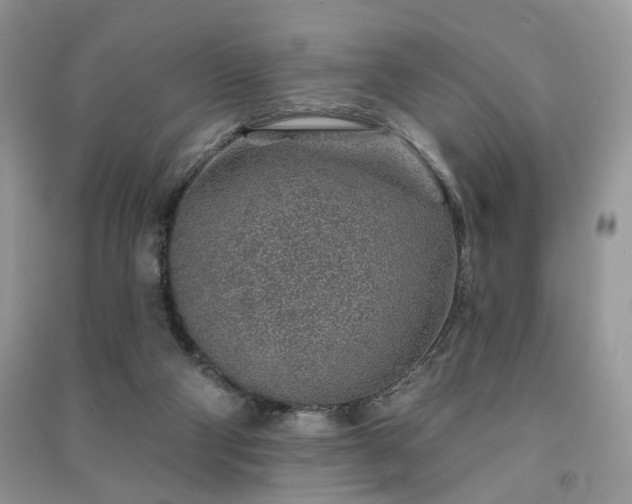 X0000091370114200708101540