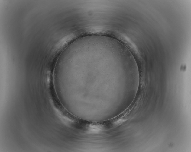 X0000091370115200708101540