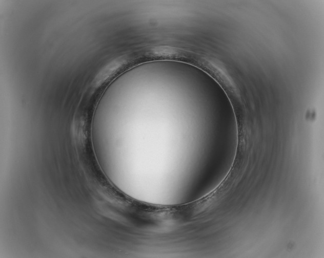 X0000091370116200708101540