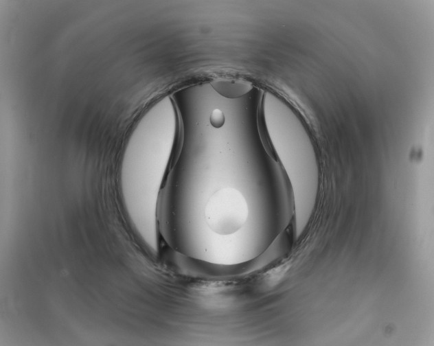 X0000091370117200708101540