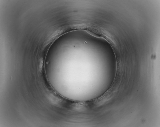 X0000091370118200708101540