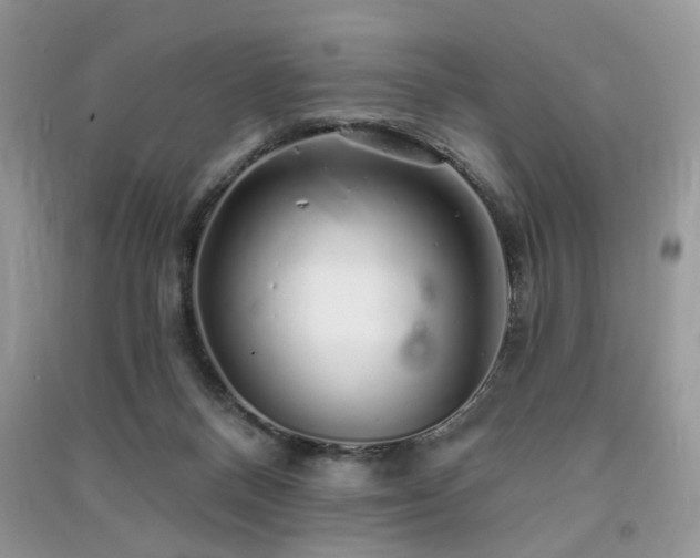 X0000091370120200708101540