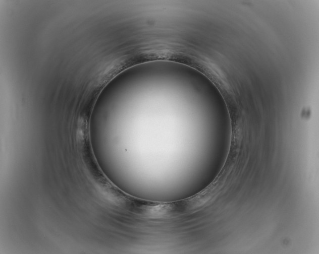 X0000091370122200708101540