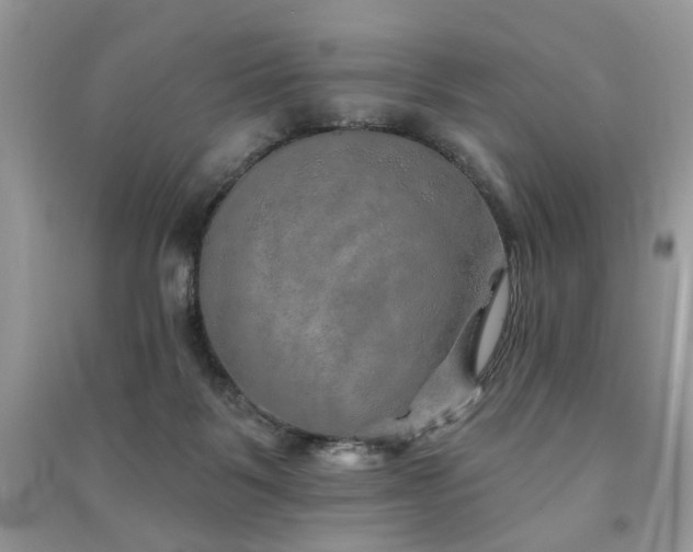 X0000091370123200708101540