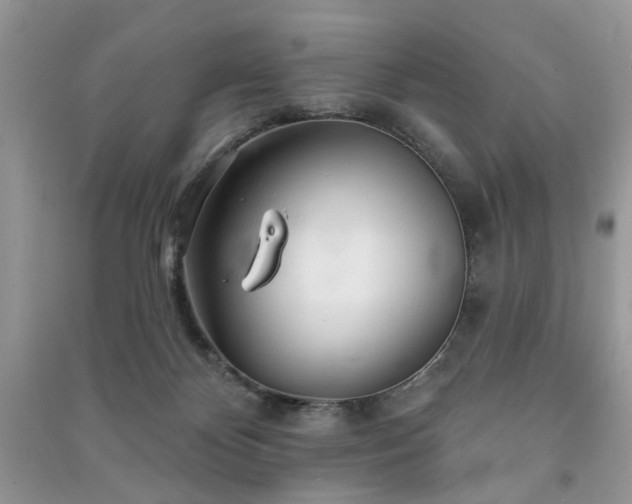 X0000091370124200708101540