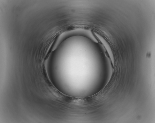 X0000091370125200708101540