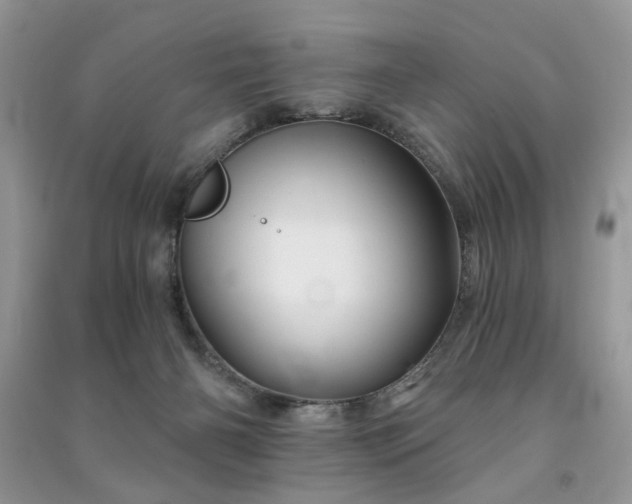 X0000091370126200708101540