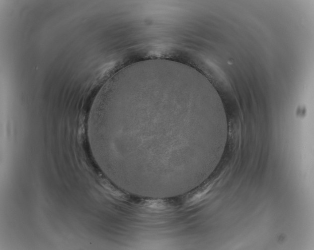 X0000091370127200708101540