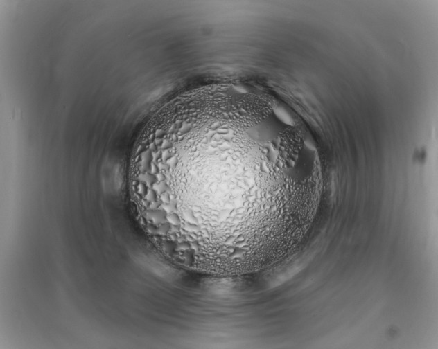 X0000091370131200708101540