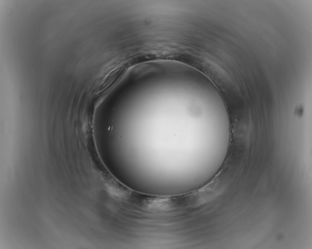 X0000091370132200708101540