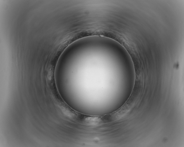 X0000091370133200708101540