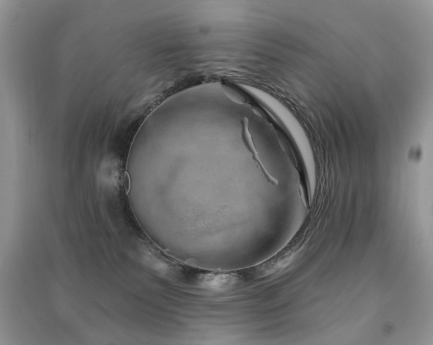 X0000091370135200708101540