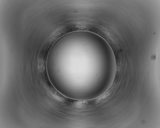 X0000091370136200708101540